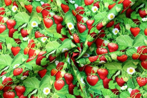 Strawberries Floral Berry Good Fabric by the yard Supply