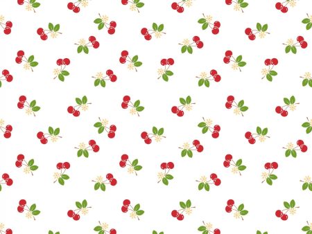 Sew Cherry 2 by Lori Holt Floral Daisy White Fabric by the yard Discount