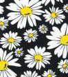 Floral Daisy Flower Amethyst Fabric by the yard Online Hot Sale