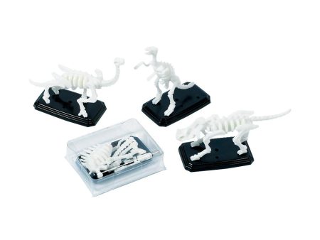 3-D Fossil Puzzle Favors 12pcs For Sale