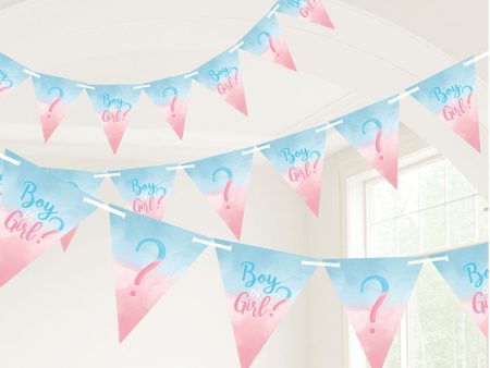 The Big Reveal Pennant Banner Paper & Ribbon 15Ft Online now