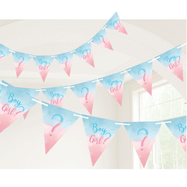 The Big Reveal Pennant Banner Paper & Ribbon 15Ft Online now