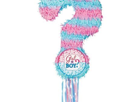 Gender Reveal Pull Piñata Discount