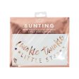 Twinkle Twinkle Little Star Rose Gold Baby Shower Bunting Decoration Online